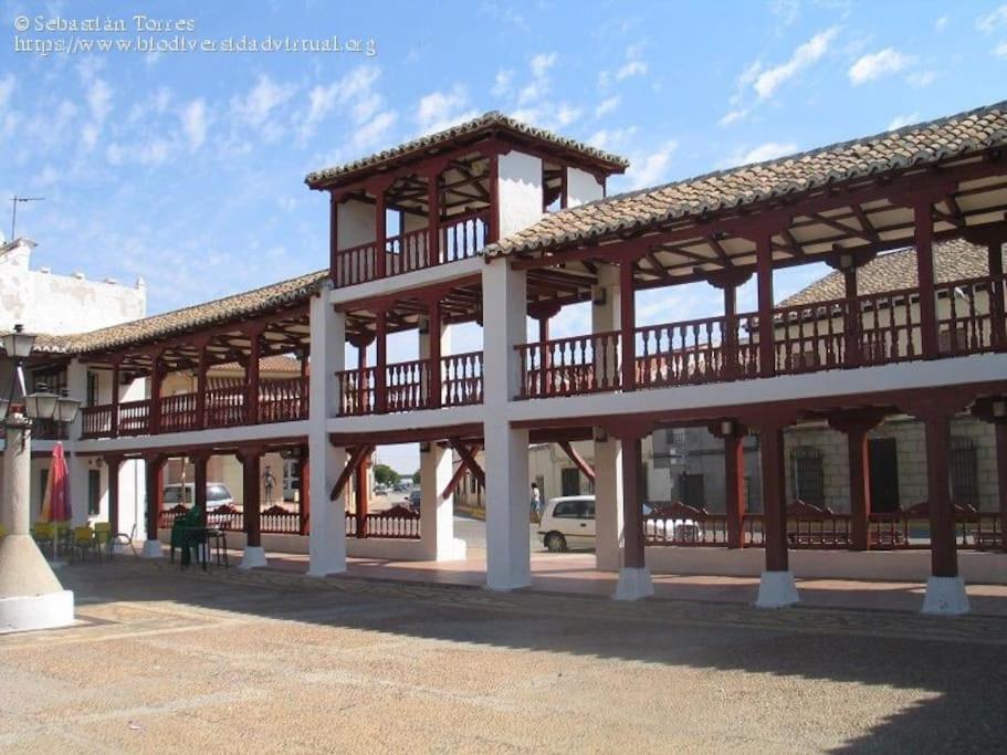 1B-Precioso Apartamento En Pleno Centro. A Estreno Alcázar de San Juan Zewnętrze zdjęcie